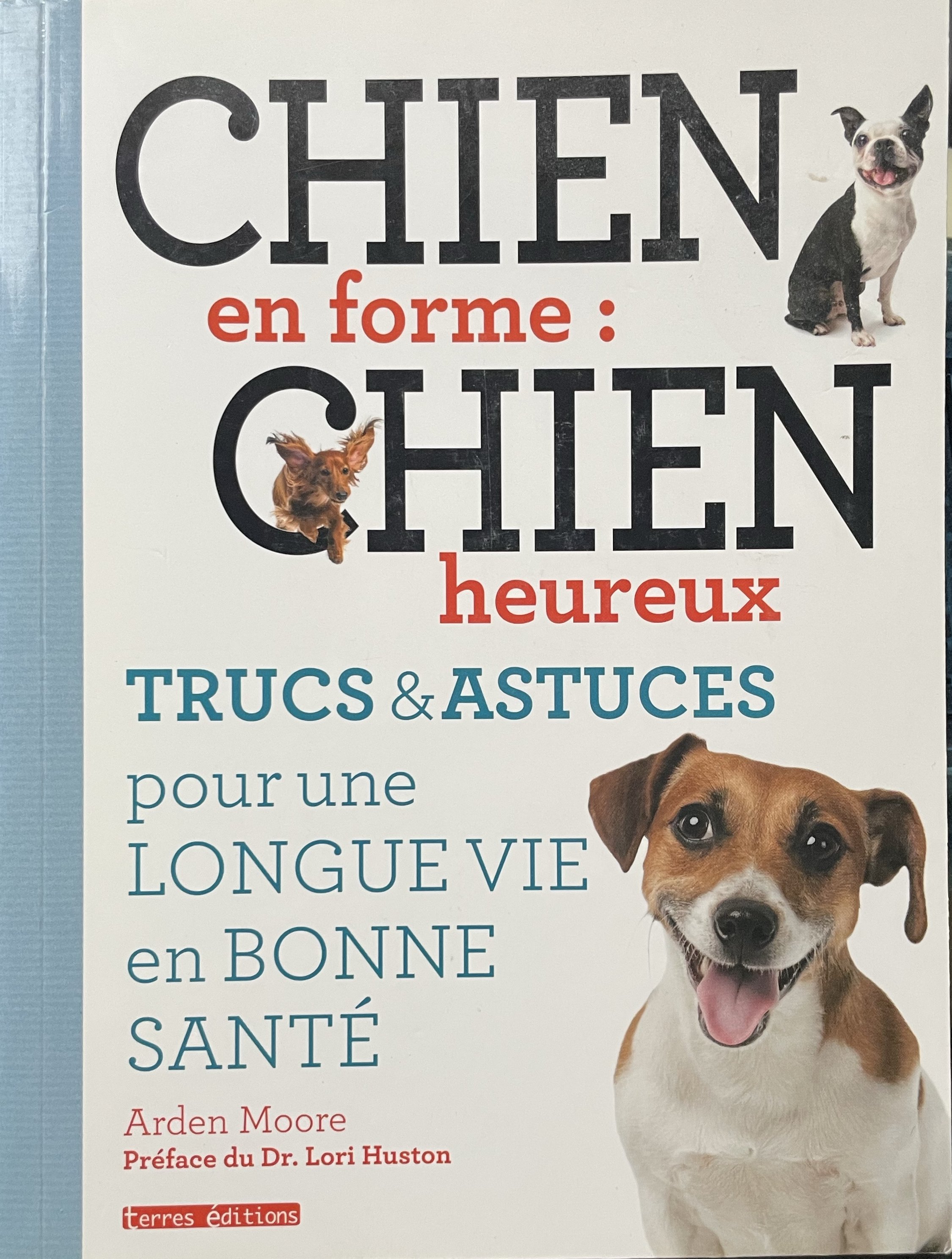 Chien en forme chien heureux